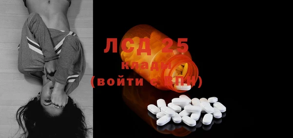 спайс Кедровый