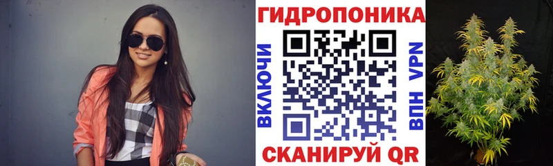 Купить  Александров  МАРИХУАНА планчик 